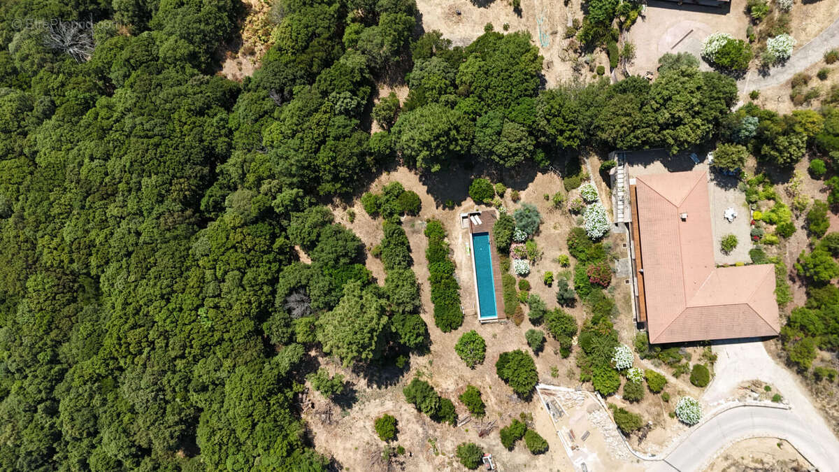 PIANA - Propriété de caractère - 195 m² - Vue exceptionnelle sur la mer - Piscine - photo 5