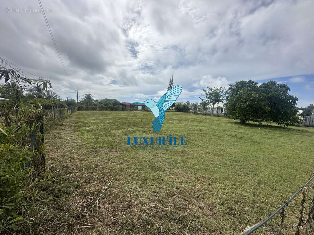 Terrain à SAINT-FRANCOIS