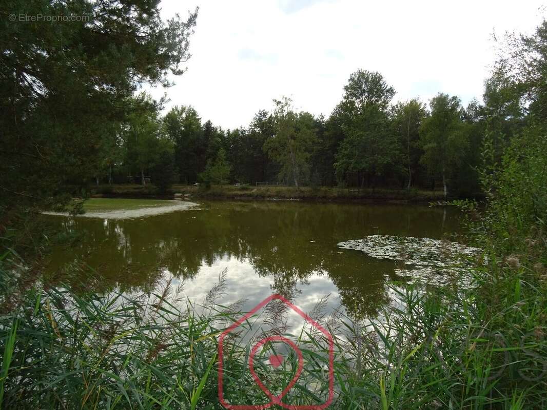 Maison à SAINTE-MONTAINE