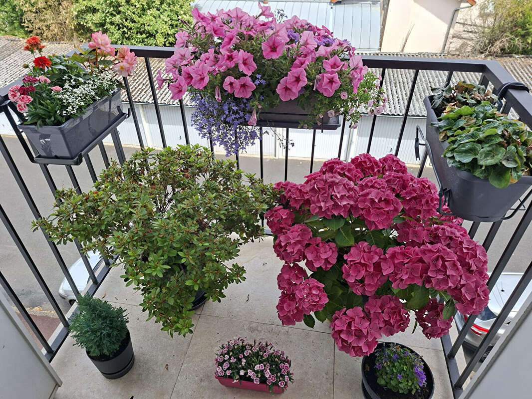 Appartement à CLAMART