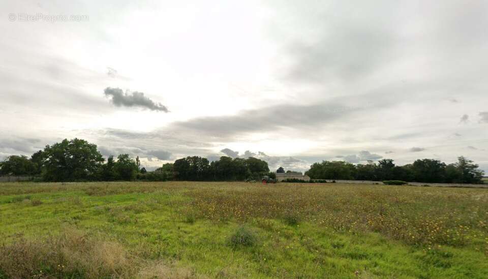 Terrain à SAINT-ESCOBILLE