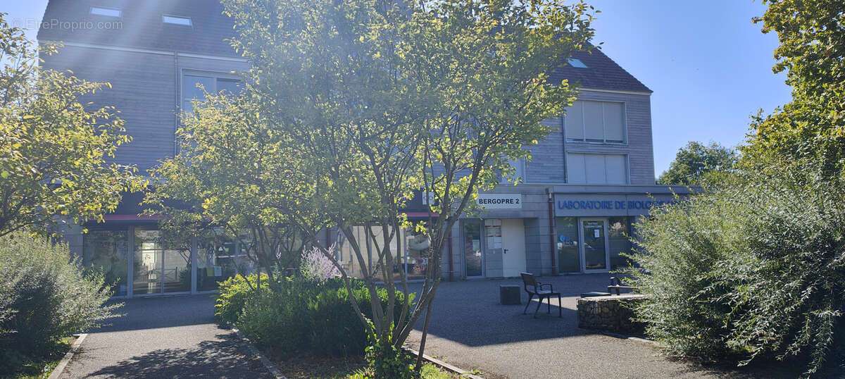Commerce à SCHIRMECK