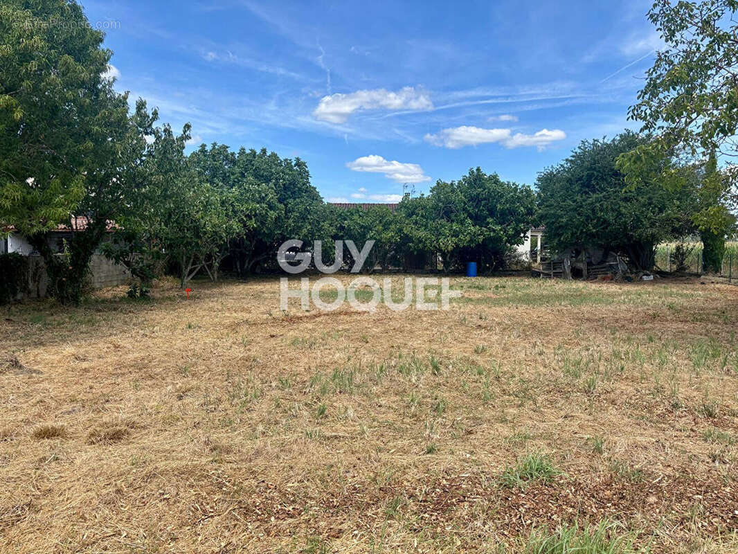 Terrain à vendre Grenade - 485 m² - Réf 3919 - photo 2