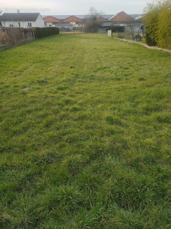 Terrain à VARENNES-SUR-ALLIER