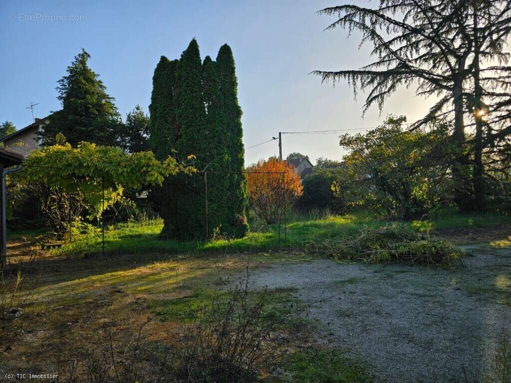Maison à VERTEUIL-SUR-CHARENTE