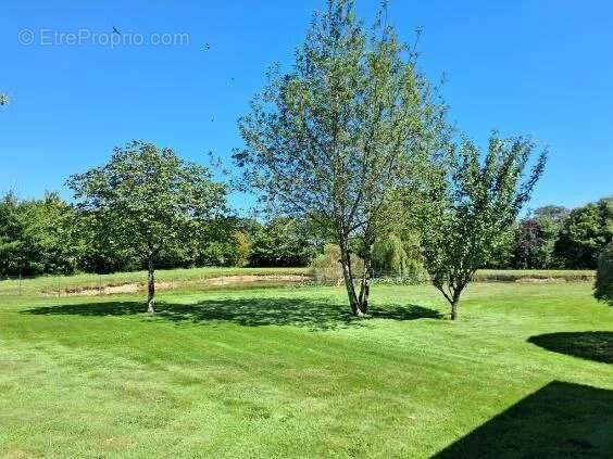 Maison à SAINTE-SUZANNE