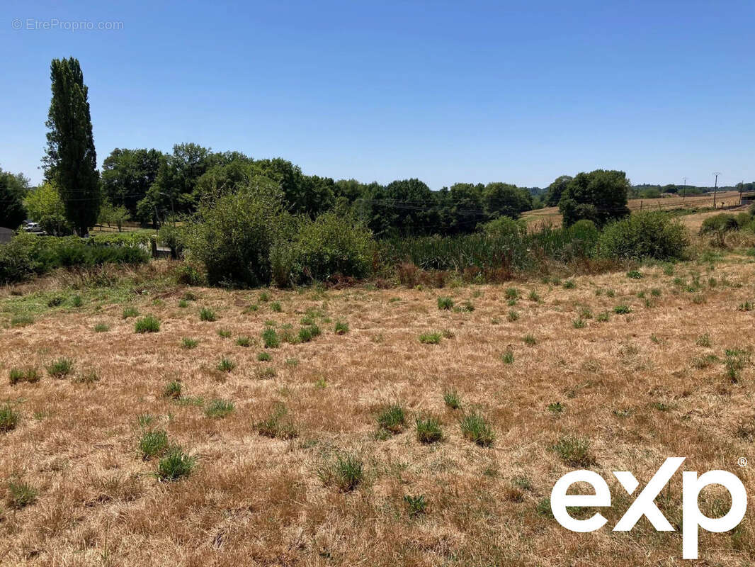 Terrain à THIVIERS