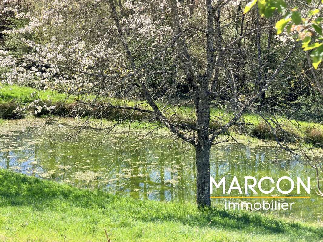 Maison à CHATELUS-MALVALEIX