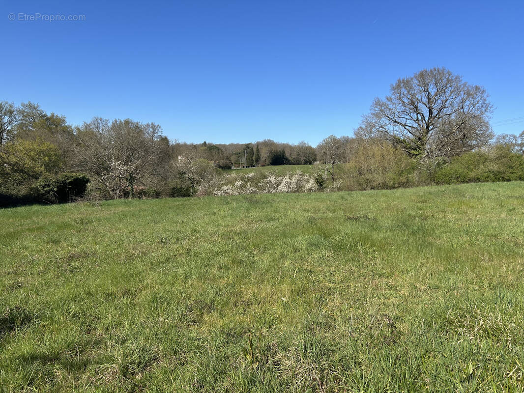 Terrain à CONFOLENS