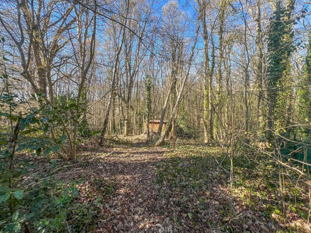 Maison à LE MESNIL-SAINT-DENIS