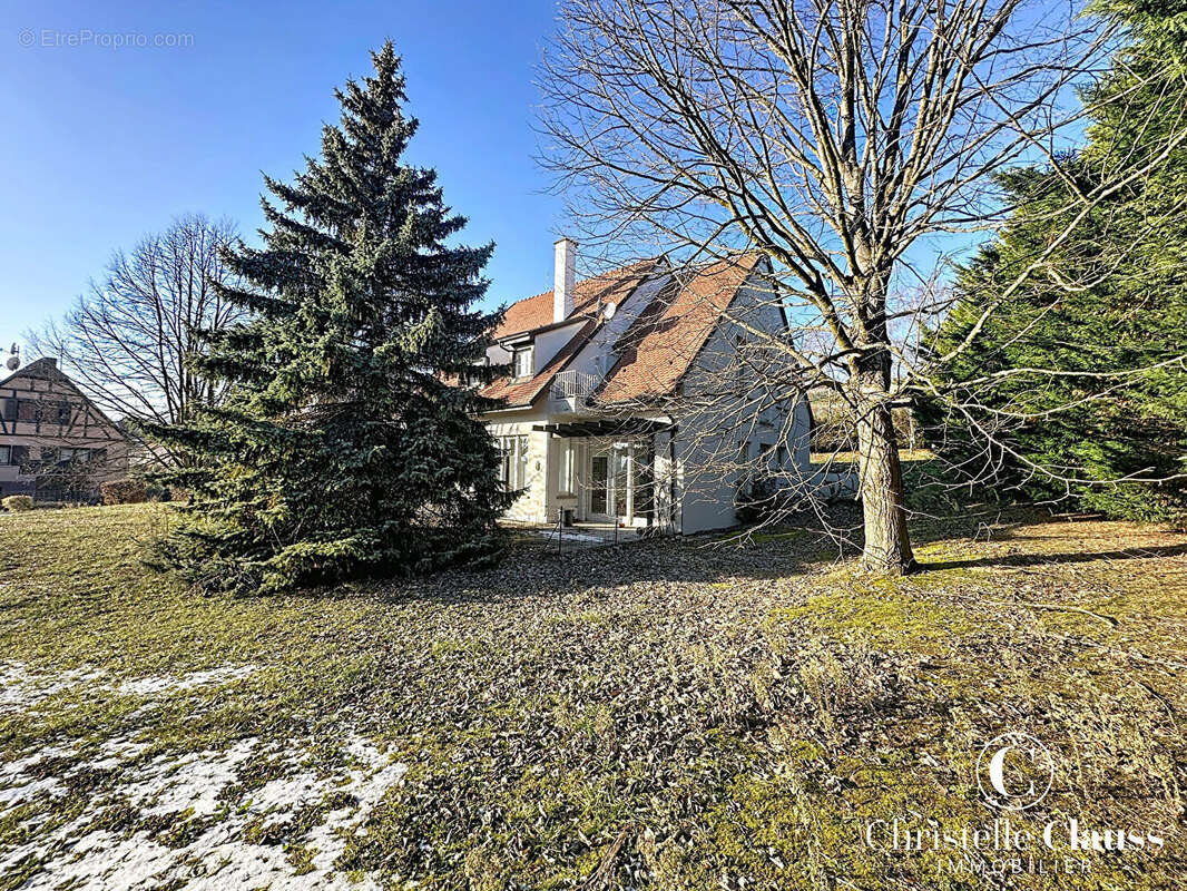 Maison à MARLENHEIM