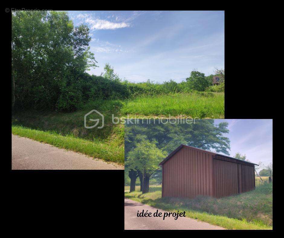  Terrain constructible de 2 530 m² – Nature, calme et potentiel - photo 6