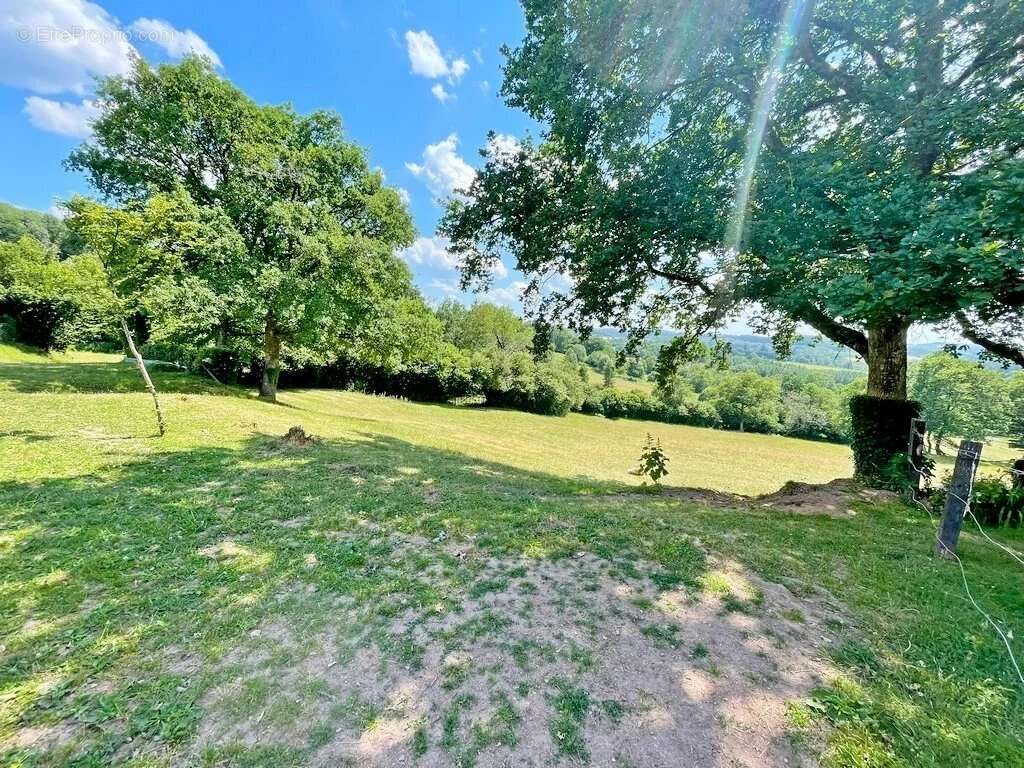 Exclusivité – Bourgogne, Morvan des Lacs – Secteur DUN-LES-PLACES - Une propriété de plus de 15 hectares, idéale pour une activi - photo 9