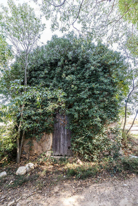 Maison à CAUSSES-ET-VEYRAN