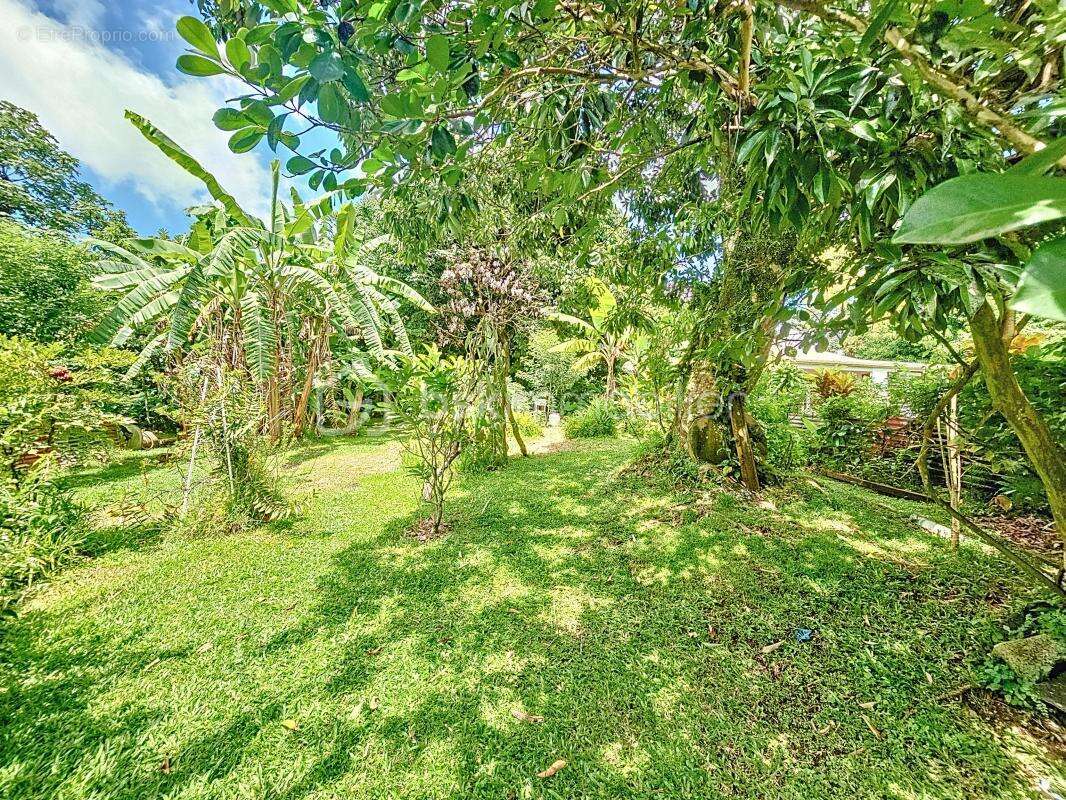 Maison à SAINT-CLAUDE