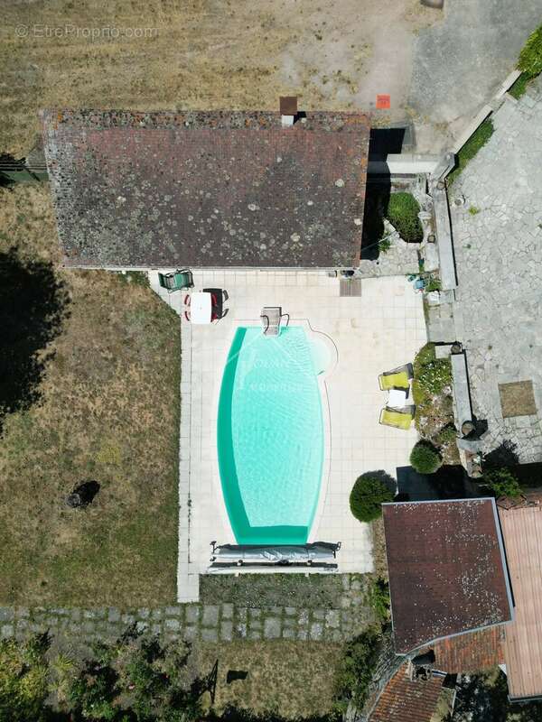 Rare dans le secteur de Gannat - photo 29