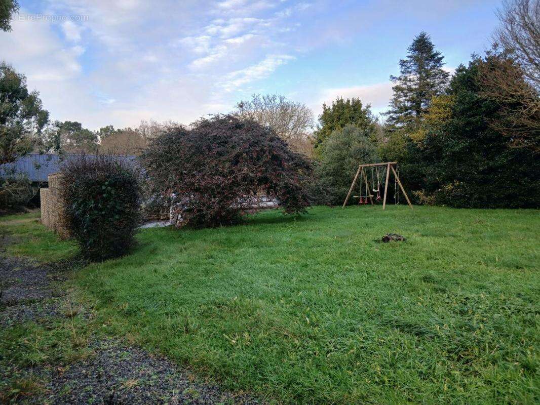 Propriété - photo 26