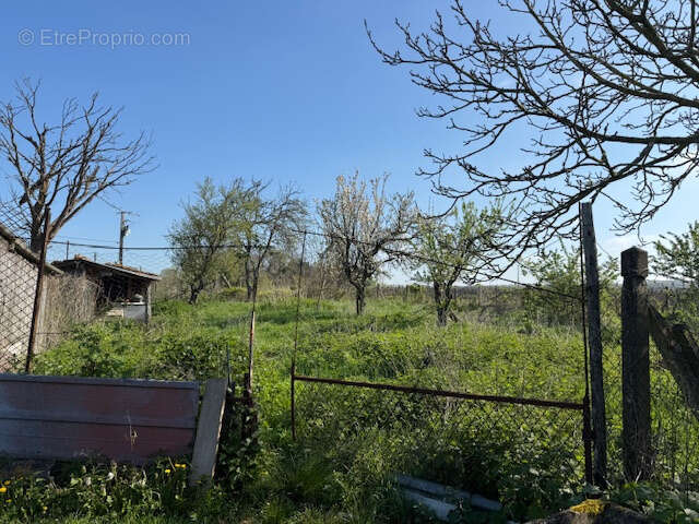 Maison à SAINT-THOMAS-DE-CONAC