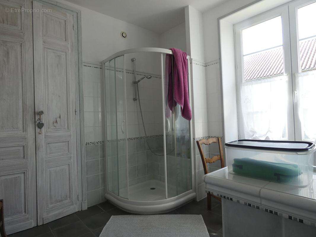 Maison et grange 265m² / 10 chs / 18 hects / dépendances / ETANG - photo 14