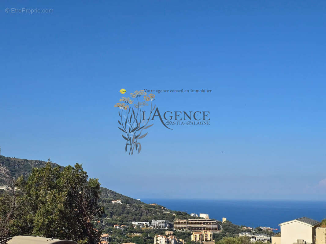 Maison à SAN-MARTINO-DI-LOTA