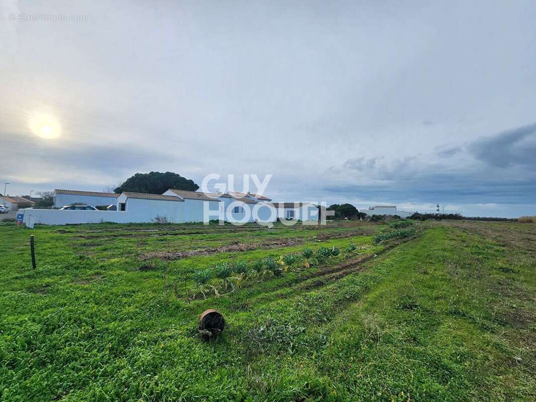Terrain à SAINT-DENIS-D'OLERON