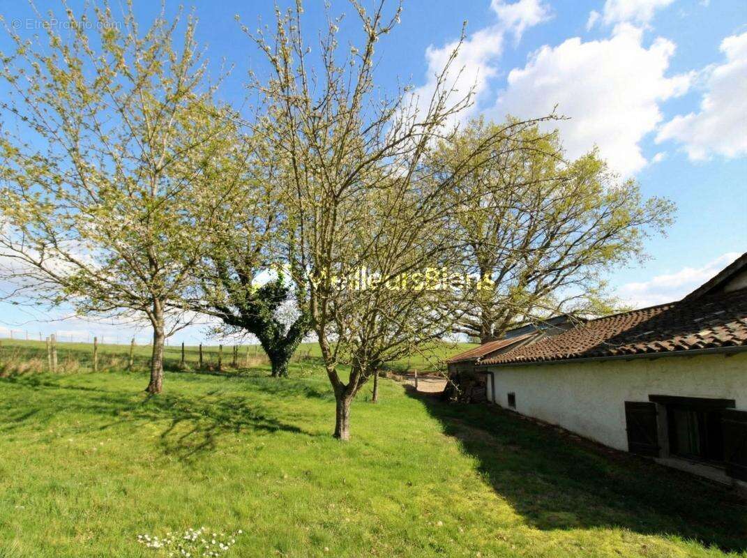 Maison à CHATILLON-SUR-CHALARONNE