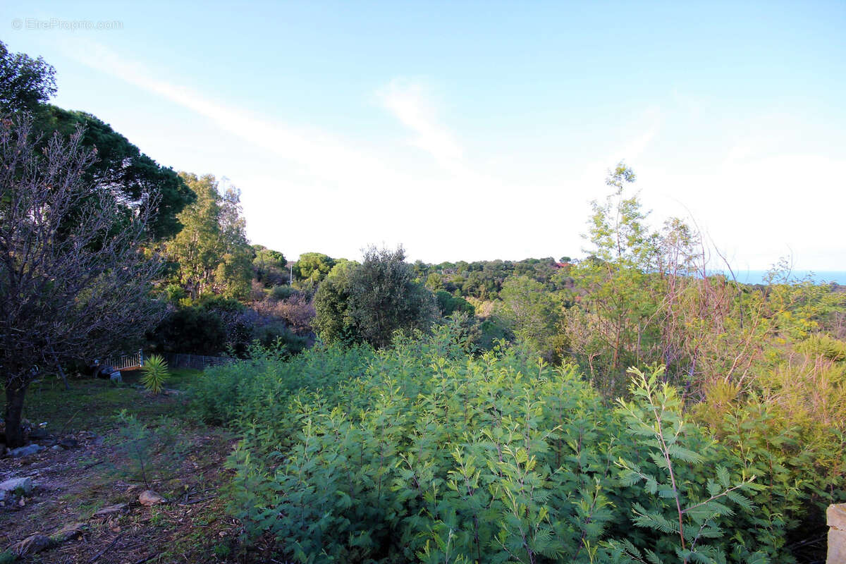 Terrain à ARGELES-SUR-MER