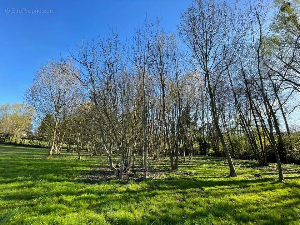 Terrain 2210 m² à Peronnas  - photo 3