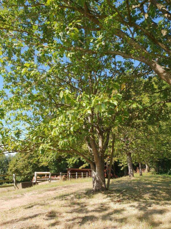 Maison à SAINT-GERMAIN-DE-LA-COUDRE