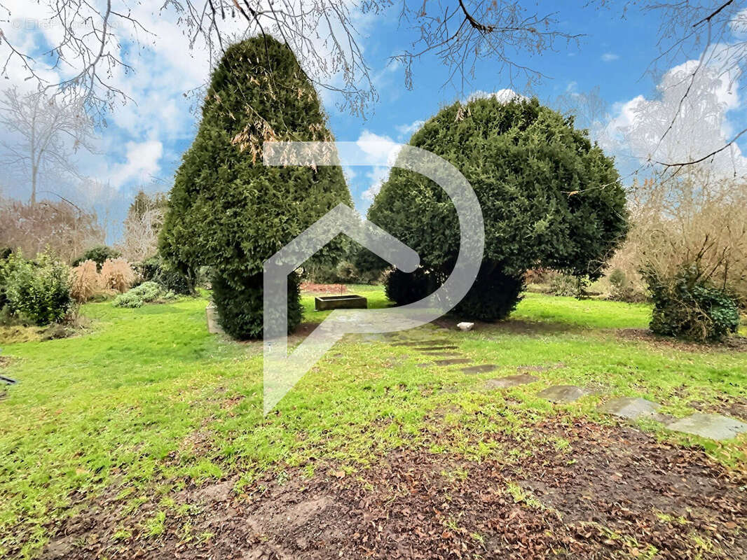 Commerce à LA WANTZENAU