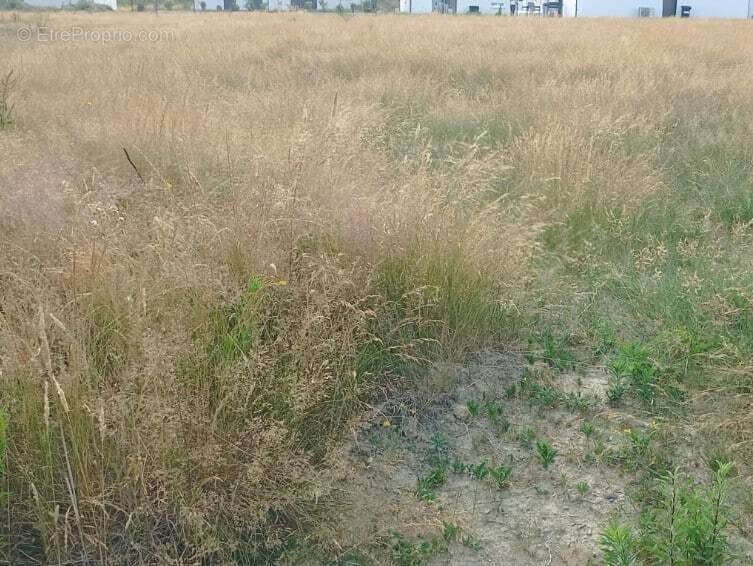 Terrain à SAINT-URBAIN