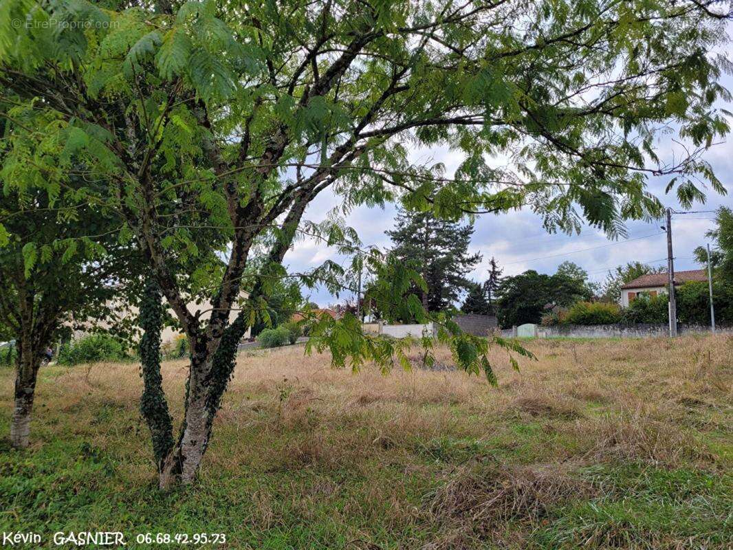 LINARS (16730) : Terrain constructible de 830m2 - photo 2