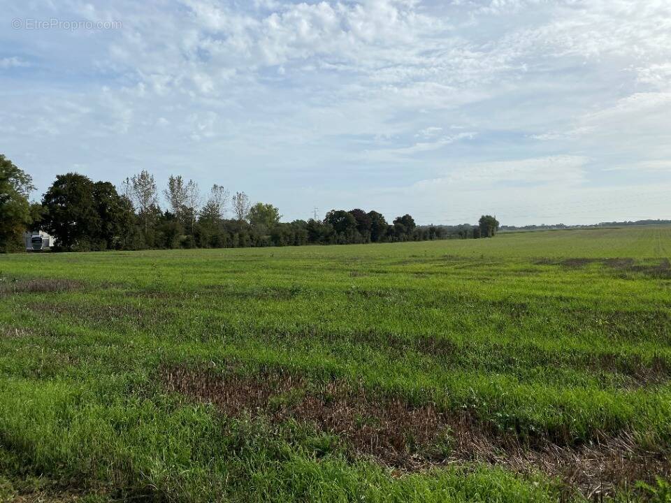 Terrain à NEUVILLE-SAINT-VAAST
