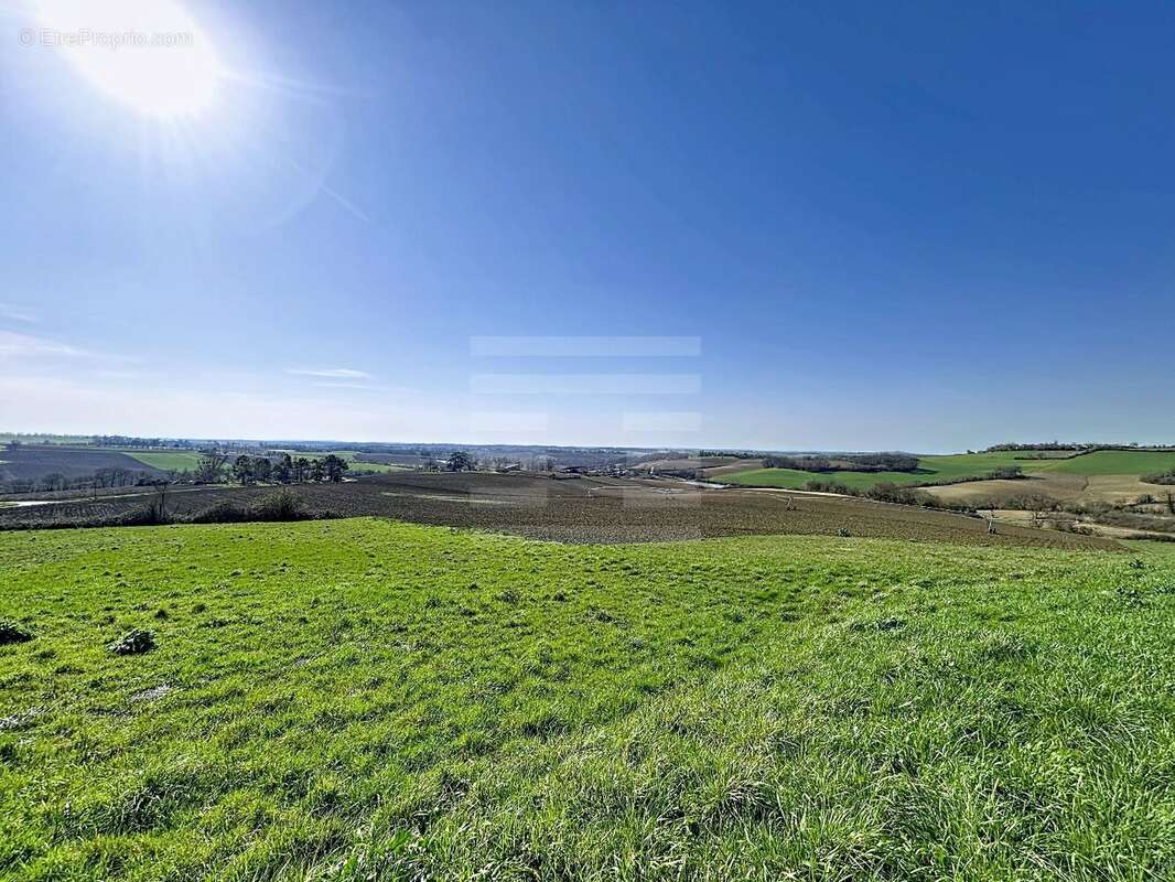 Terrain à NERAC