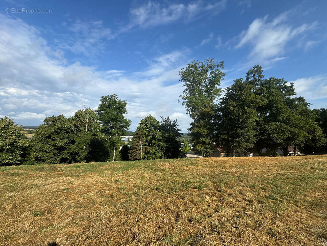 Terrain à ROCHEFORT-SUR-NENON