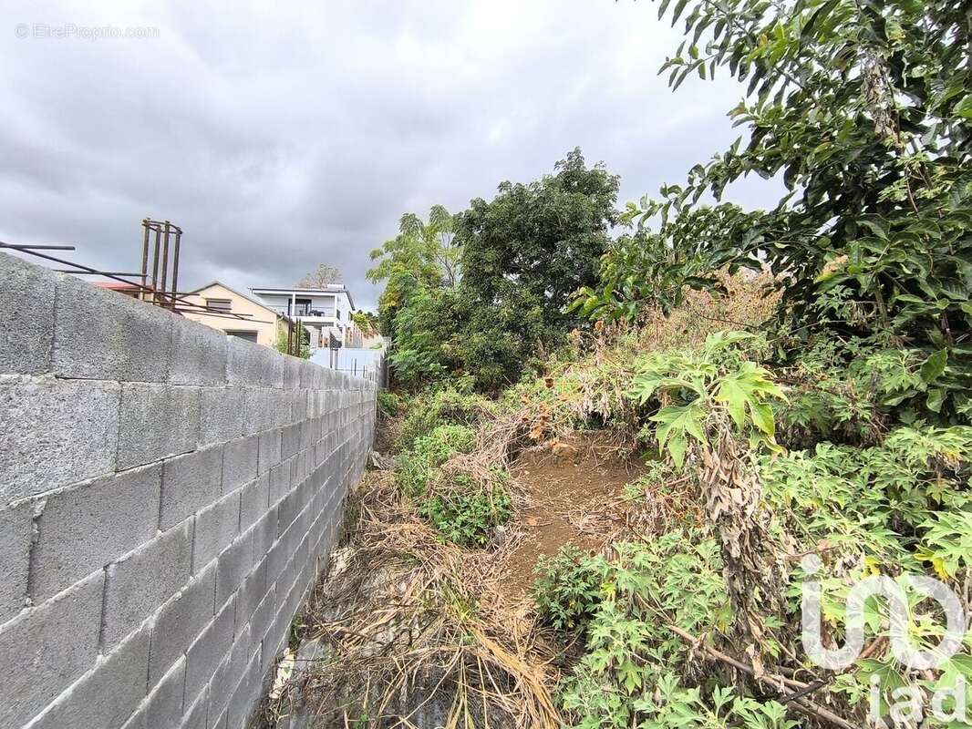 Photo 2 - Terrain à SAINT-PAUL