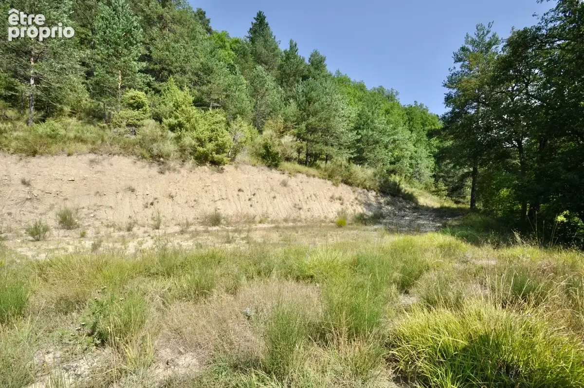 Dpt Alpes de Haute Provence (04), à vendre Proche ENTREVAUX Superbe terrain de plus d'un hectare avec vue montagnes - photo 9
