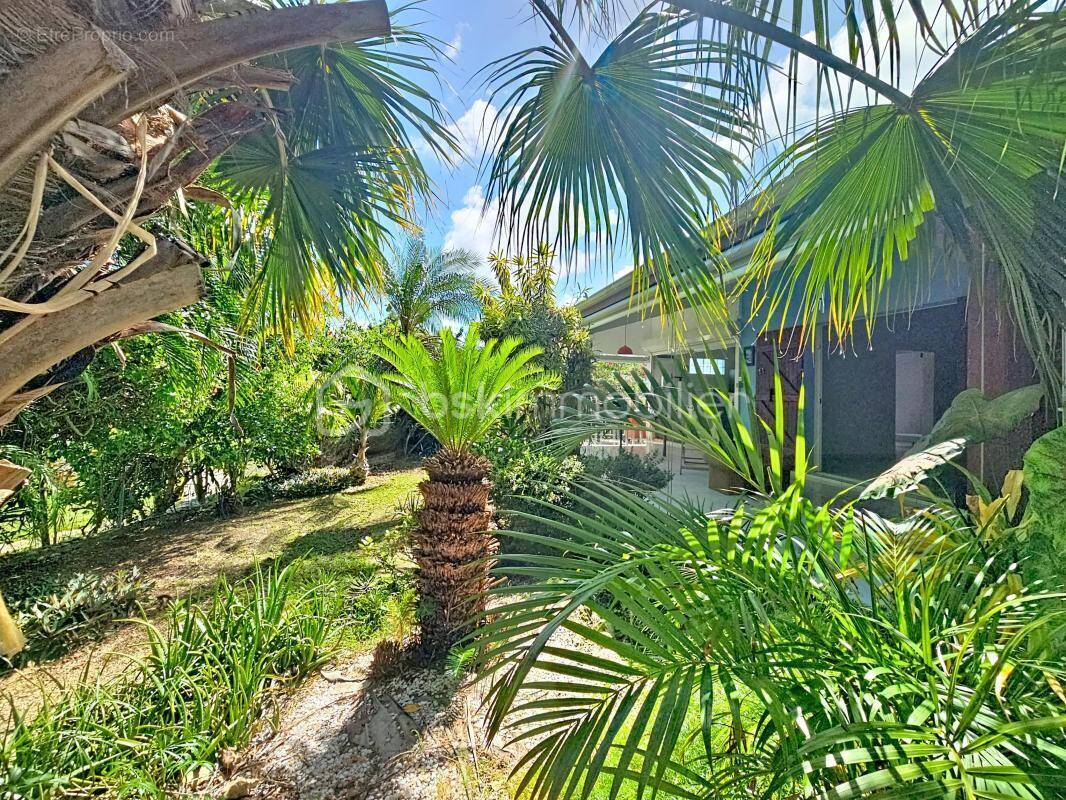 Maison à SAINT-FRANCOIS