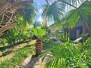 Maison à SAINT-FRANCOIS