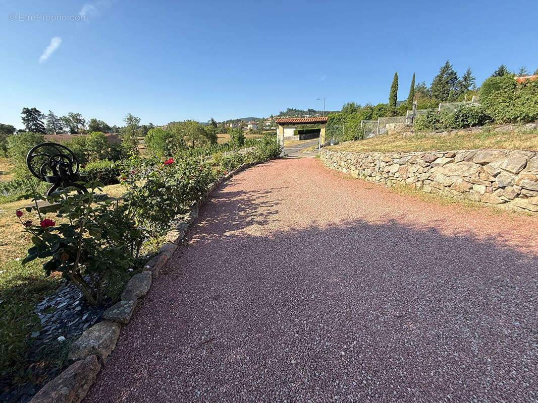 Maison Villemontais - photo 15
