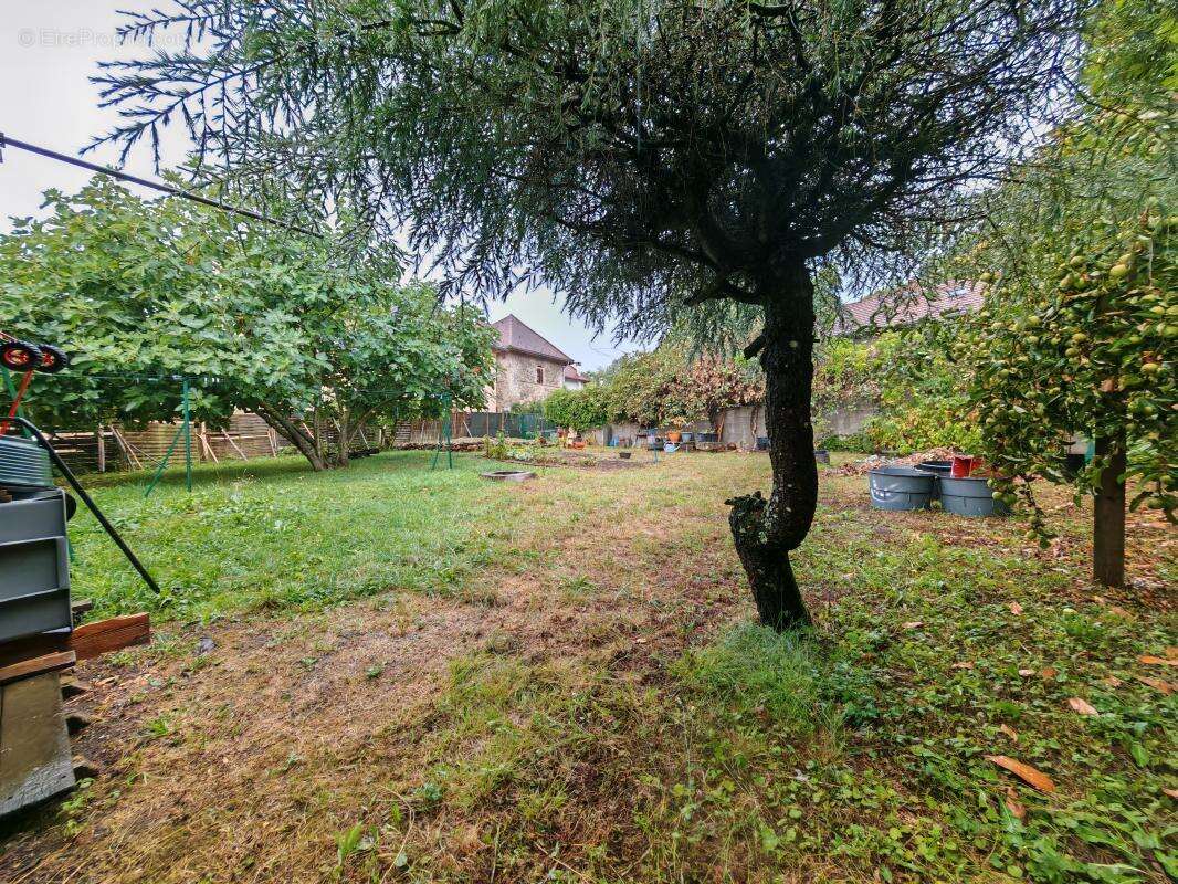 Maison 138 m² à Paladru  - photo 19