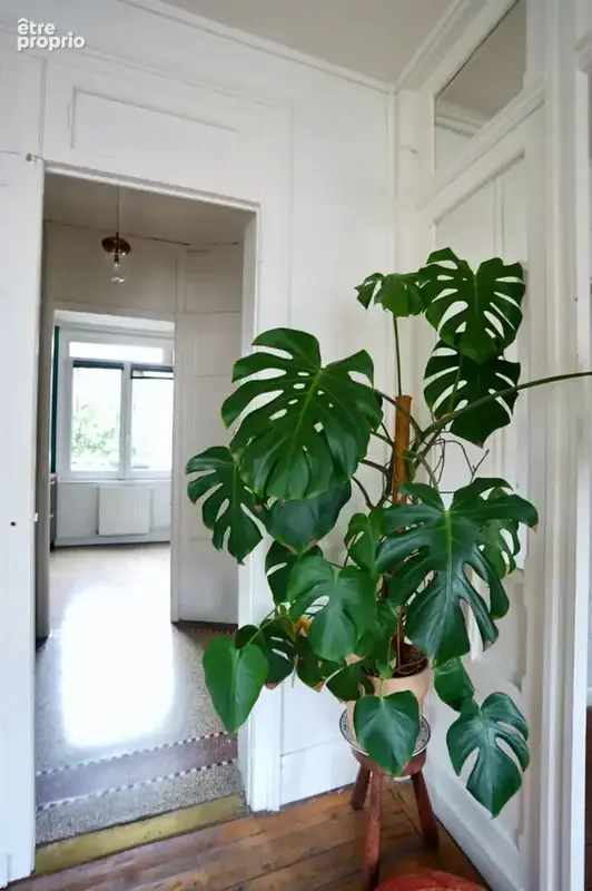 Appartement 91 m² à La Madeleine  - photo 5