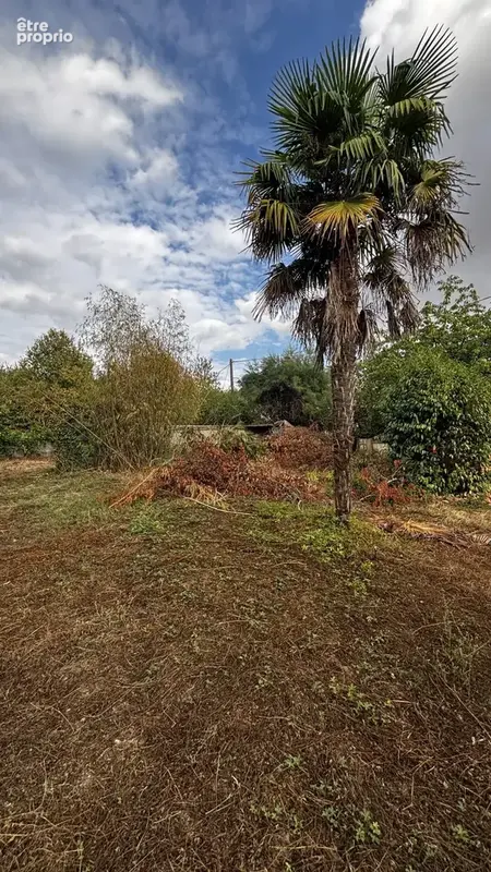 Terrain 419 m² à Venoy  - photo 8