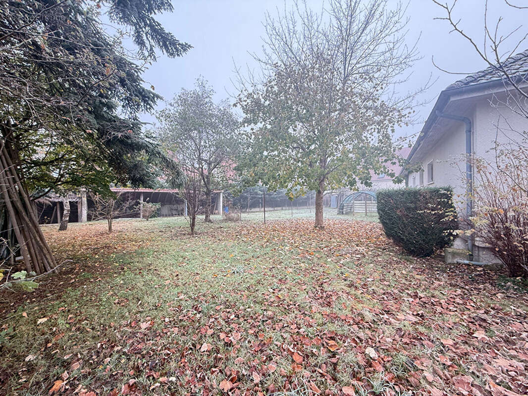 Maison à CHATEAUNEUF-SUR-LOIRE