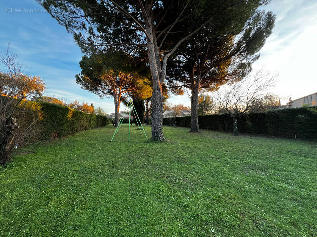 Terrain à MORIERES-LES-AVIGNON