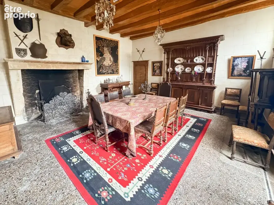 Majestueux Hôtel Particulier à Châtillon-sur-Indre - photo 8