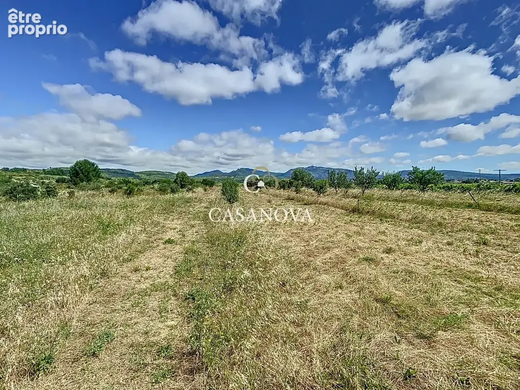 Secteur Gignac Clermont l'Hérault  - Mas Provencal avec Oliveraie - piscine - photo 8