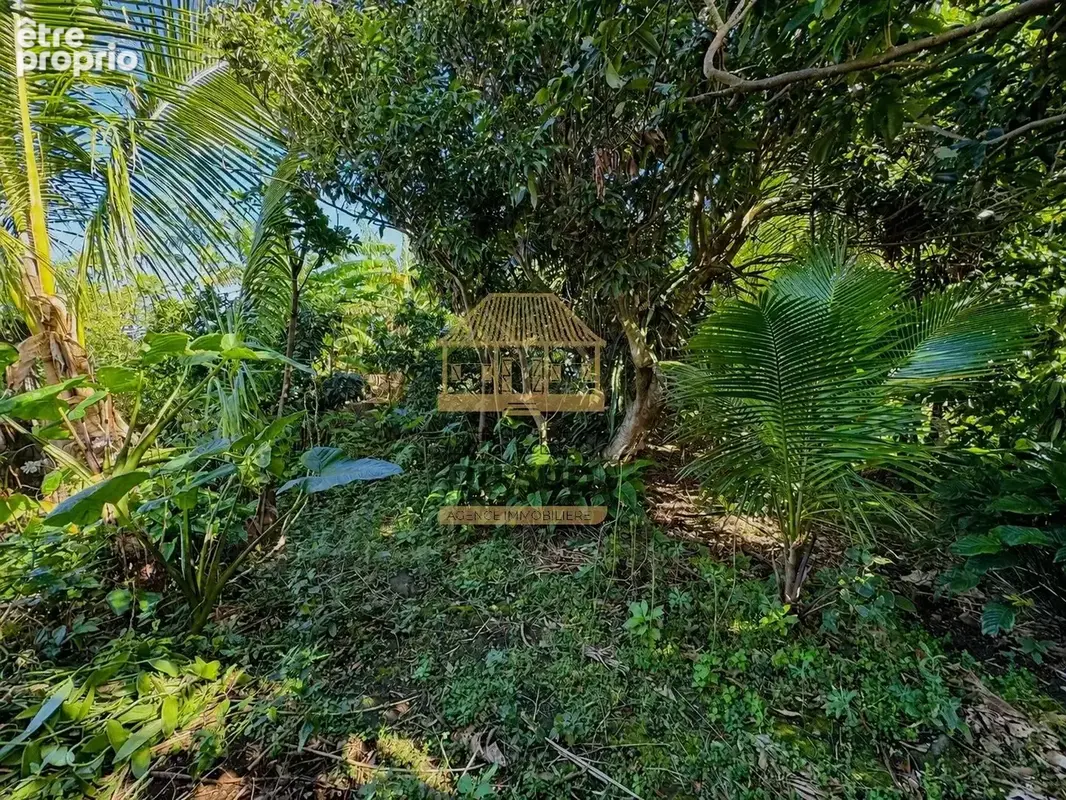 Saint-joseph – maison familiale plain-pied 4 chambres avec jardin – secteur calme - photo 4