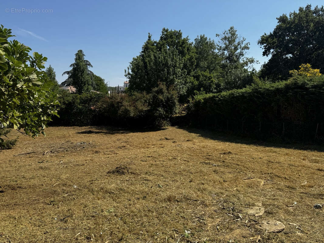 Rarissime ! Grande parcelle de terrain à bâtir dans un cadre naturel exeptionnel. - photo 3