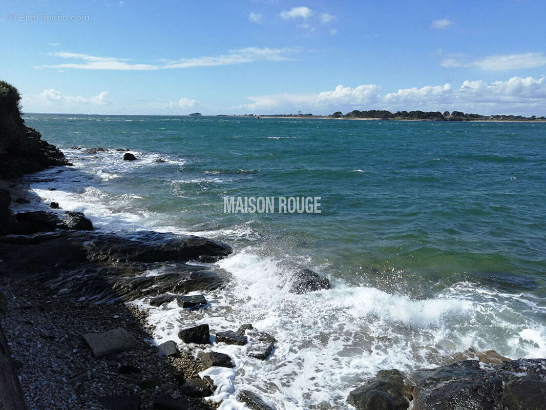 ARZON - Coup de coeur ! - photo 16